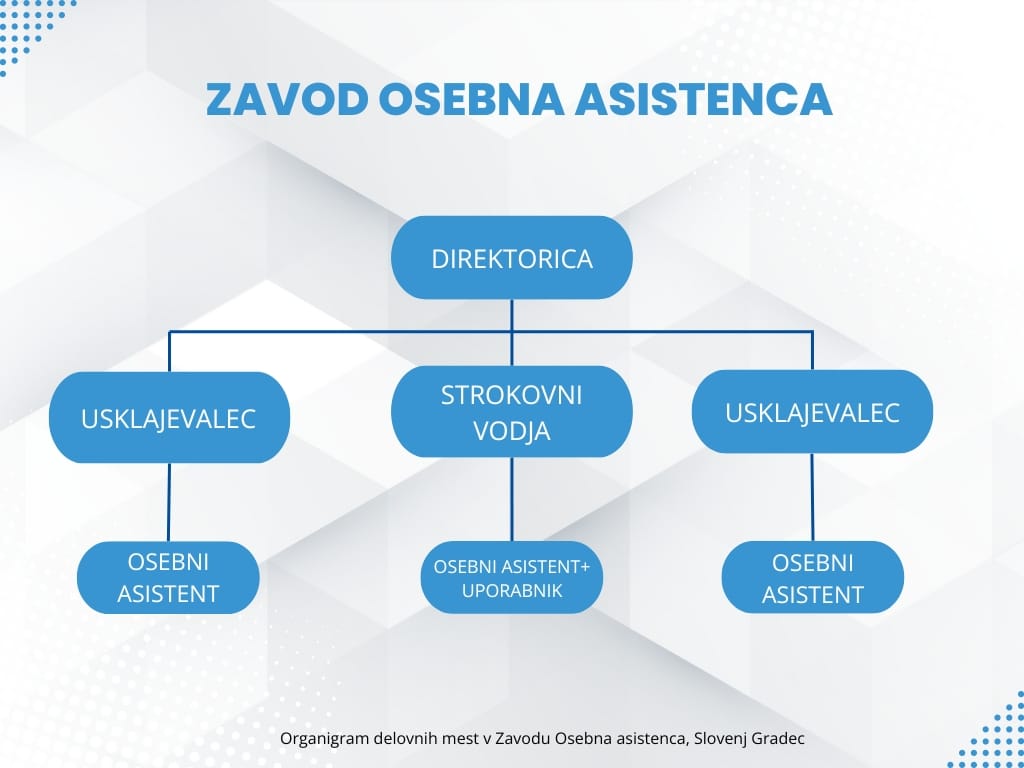 Organigram delovnih mest v Zavodu Osebna asistenca, Slovenj Gradec
